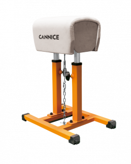 Small Pommel Horse