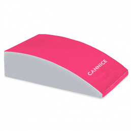 Large Foam Springboard