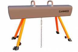 Training Pommel Horse With Trolley
