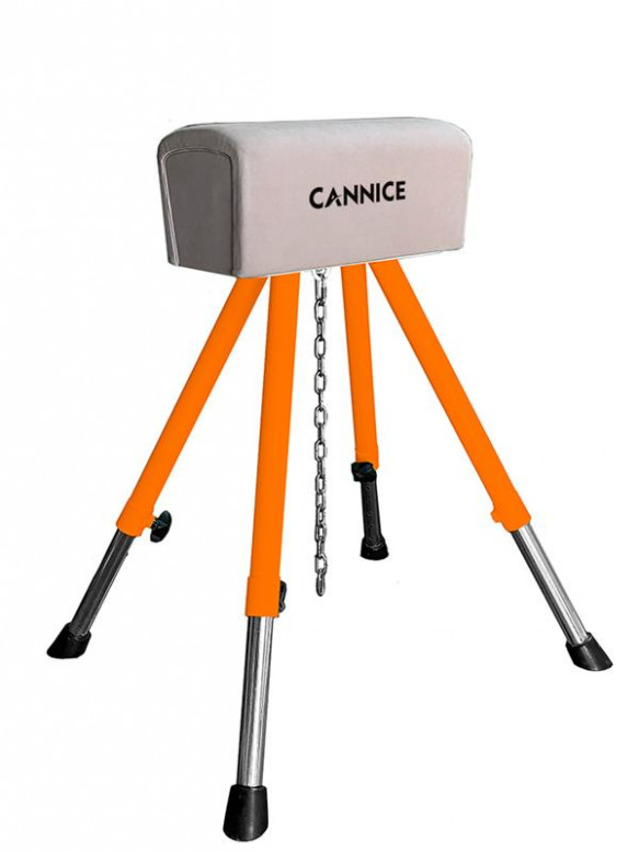 Short Pommel Horse