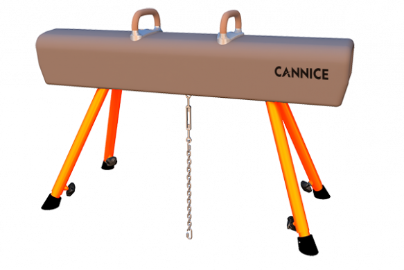 Training Pommel Horse