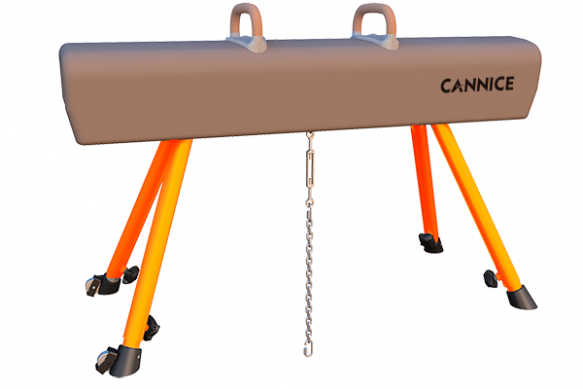 Training Pommel Horse With Trolley