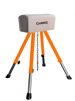 Short Pommel Horse With Trolley