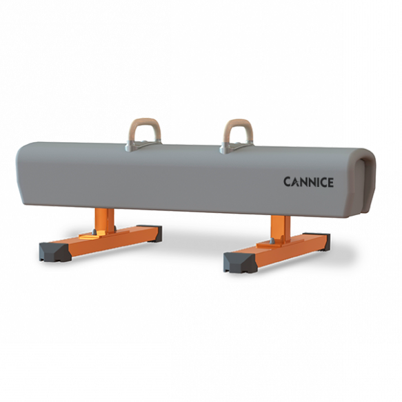 Low Pommel Horse