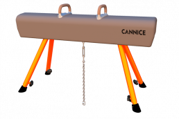 Training Pommel Horse
