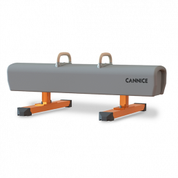 Low Pommel Horse