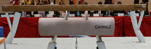 Fig Balance Beam Padding (2 Pieces)