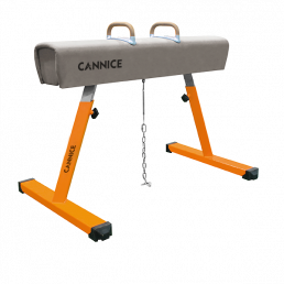 Competition Pommel Horse