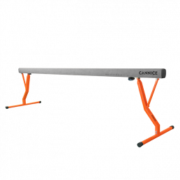 Training Balance Beam