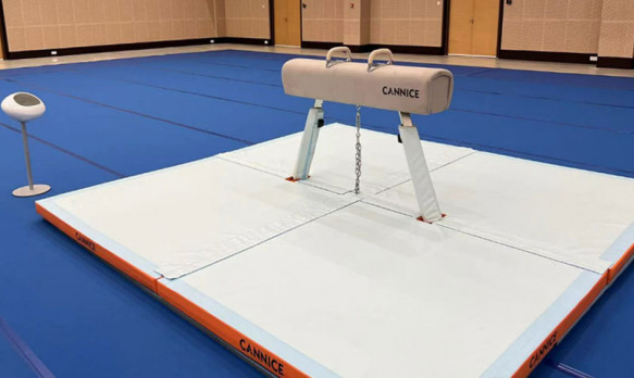 Pommel Horse Protection Padding