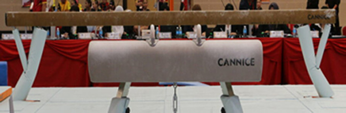Fig Balance Beam Padding (2 Pieces)