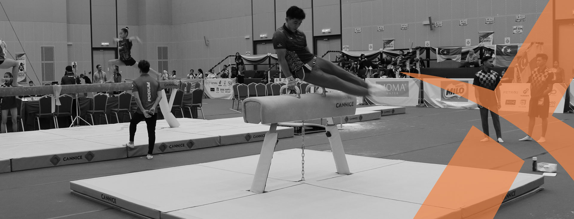 pommel horses