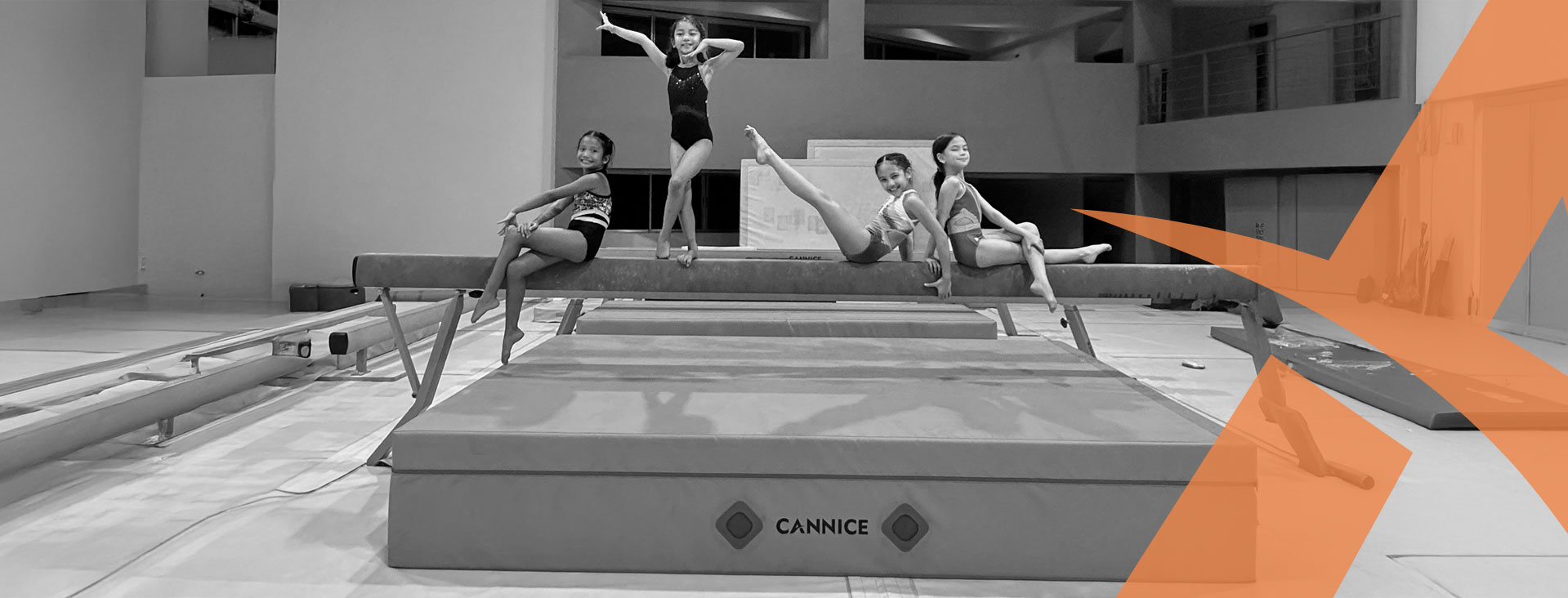 fig competition landing mats